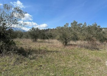 Vista delle montagne - Agricultural land Via Buia
 
snc, Rocchetta a Volturno - photo 32