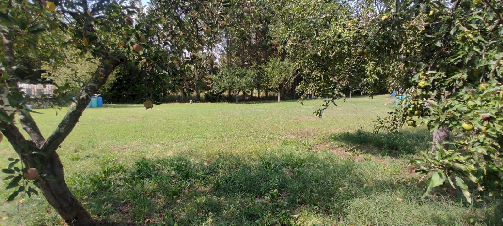 Foto 2 - Terreno agricolo Via Vallebbiaia
 
10, Fauglia - foto 2