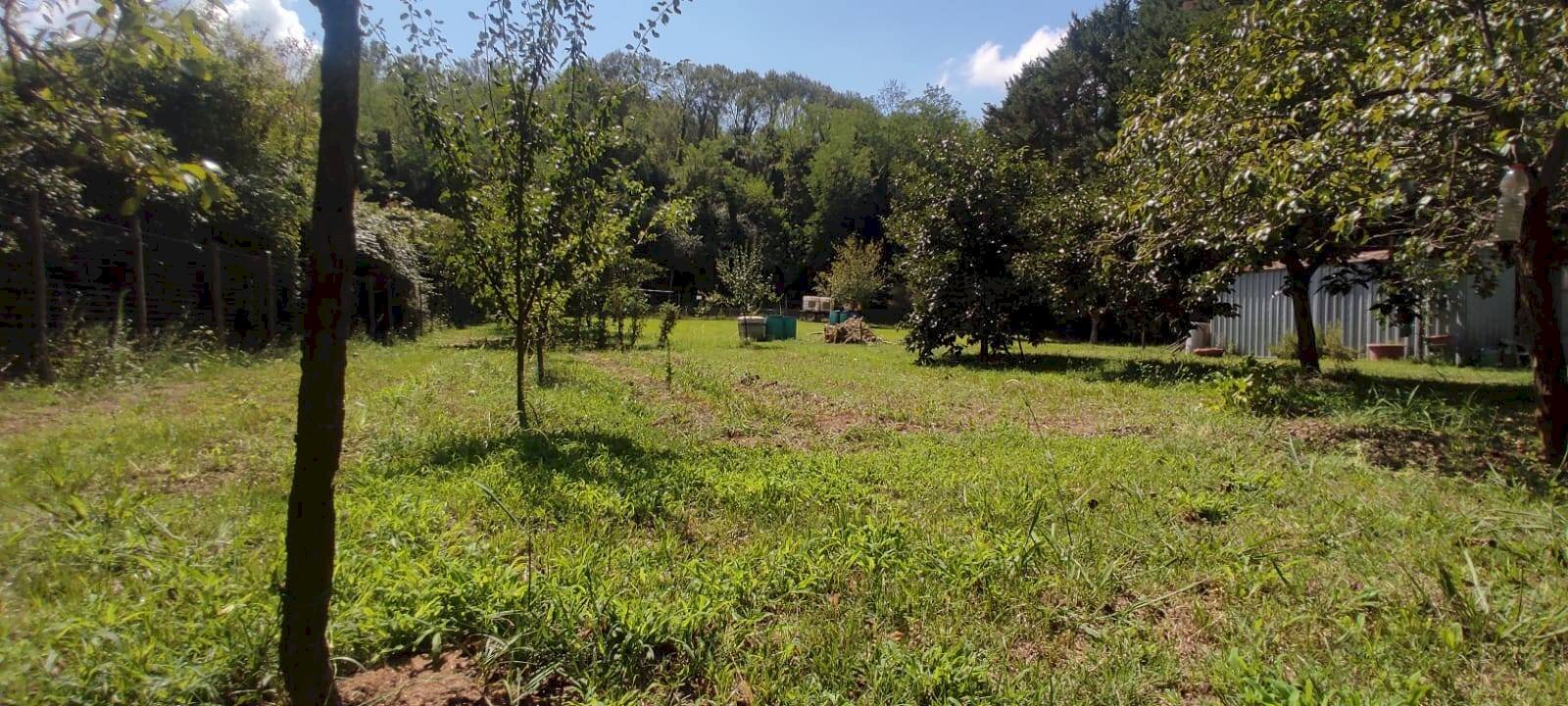 Foto 3 - Terreno agricolo Via Vallebbiaia
 
10, Fauglia - foto 3