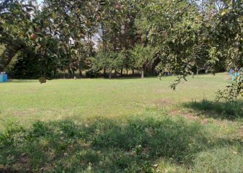 Foto 2 - Terreno agricolo Via Vallebbiaia
 
10, Fauglia - foto 2