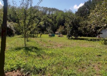 Foto 3 - Terreno agricolo Via Vallebbiaia
 
10, Fauglia - foto 3