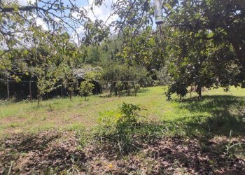 Foto 4 - Terreno agricolo Via Vallebbiaia
 
10, Fauglia - foto 4