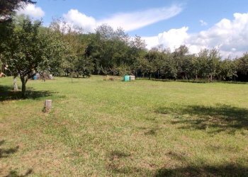 Foto 5 - Terreno agricolo Via Vallebbiaia
 
10, Fauglia - foto 5