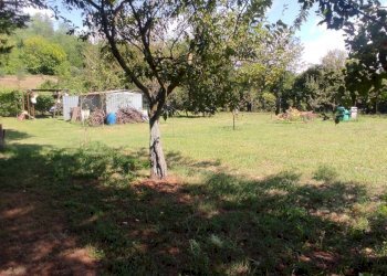 Foto 6 - Terreno agricolo Via Vallebbiaia
 
10, Fauglia - foto 6