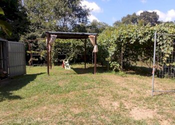 Foto 7 - Terreno agricolo Via Vallebbiaia
 
10, Fauglia - foto 7