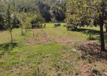 Foto 8 - Terreno agricolo Via Vallebbiaia
 
10, Fauglia - foto 8