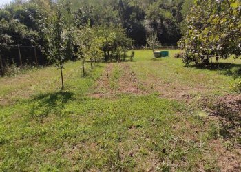 Foto 9 - Terreno agricolo Via Vallebbiaia
 
10, Fauglia - foto 9