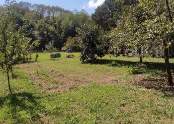 Foto 11 - Terreno agricolo Via Vallebbiaia
 
10, Fauglia - foto 11