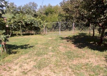 Foto 12 - Terreno agricolo Via Vallebbiaia
 
10, Fauglia - foto 12