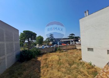 Giardino - Appartamento Francavilla Fontana - foto 11