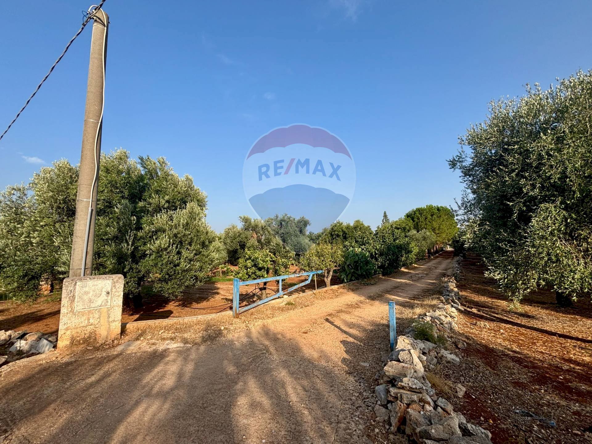 Giardino - Villa Fasano - photo 3