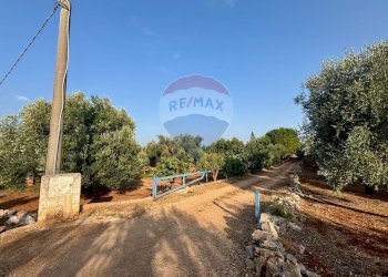 Giardino - Villa Fasano - photo 3