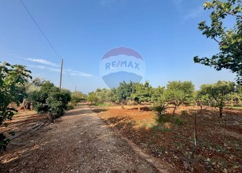 Giardino - Villa Fasano - photo 23