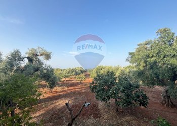 Giardino - Villa Fasano - photo 25