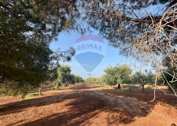 Giardino - Villa Fasano - photo 26