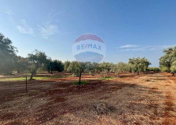 Giardino - Villa Fasano - photo 27