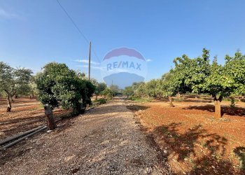 Giardino - Villa Fasano - photo 29