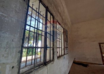 Non correlato - Rustico Muro Leccese - foto 47