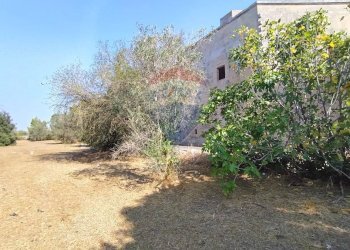 Giardino - Rustico Muro Leccese - foto 56