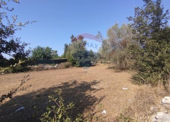 Giardino - Rustico Muro Leccese - foto 58