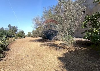 Giardino - Rustico Muro Leccese - foto 60