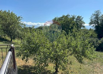 Giardino - Casa indipendente Contrada Sant'Angelo
 
11, Vinchiaturo - foto 29