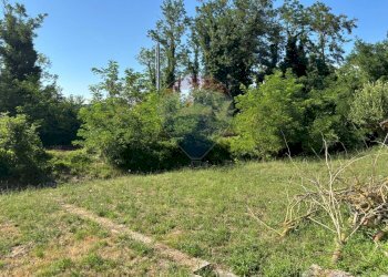 Giardino - Casa indipendente Contrada Sant'Angelo
 
11, Vinchiaturo - foto 42