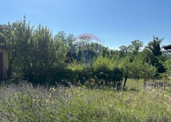 Giardino - Casa indipendente Contrada Sant'Angelo
 
11, Vinchiaturo - foto 6