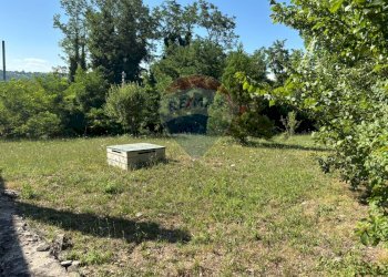 Giardino - Casa indipendente Contrada Sant'Angelo
 
11, Vinchiaturo - foto 53