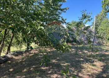 Giardino - Casa indipendente Contrada Sant'Angelo
 
11, Vinchiaturo - foto 55