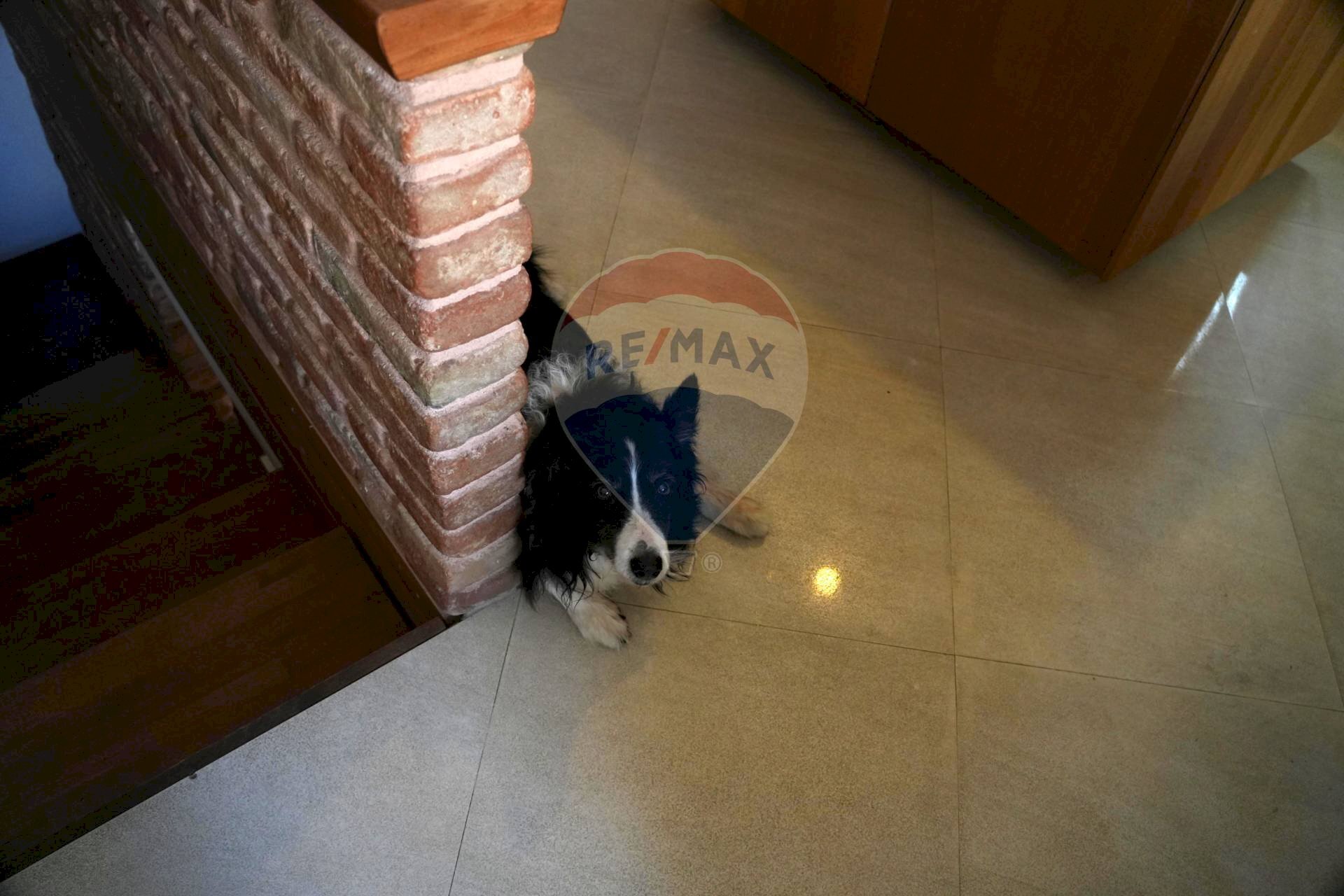 Dettagli - Casa semi indipendente Via Larghetto Cavour
 
9, Vinchiaturo - foto 1