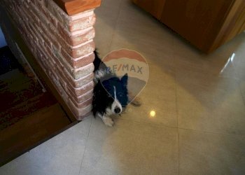 Dettagli - Casa semi indipendente Via Larghetto Cavour
 
9, Vinchiaturo - foto 1