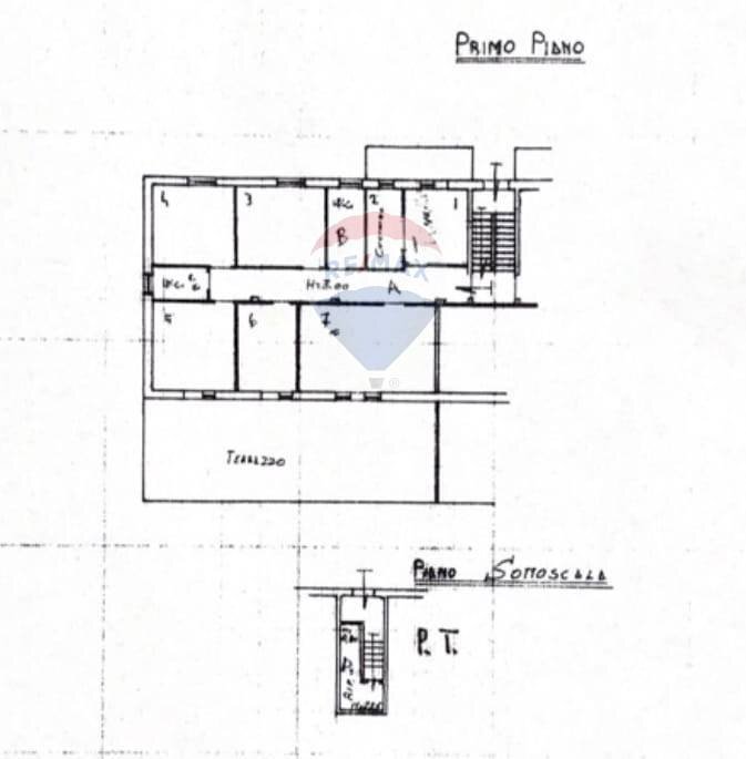 Pianta 2D - Appartamento C.da Serrecchie
 
29, Ripalimosani - planimetria 1