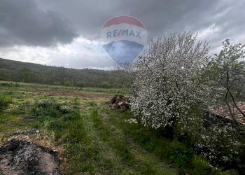 Vista delle montagne - Casa indipendente CONTRADA SELVA
 
SNC, Toro - foto 21