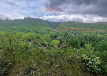 Vista delle montagne - Casa indipendente CONTRADA SELVA
 
SNC, Toro - foto 22