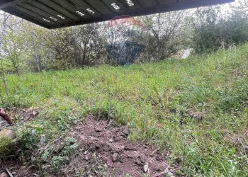 Giardino - Casa indipendente CONTRADA SELVA
 
SNC, Toro - foto 23