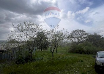 Giardino - Casa indipendente CONTRADA SELVA
 
SNC, Toro - foto 28