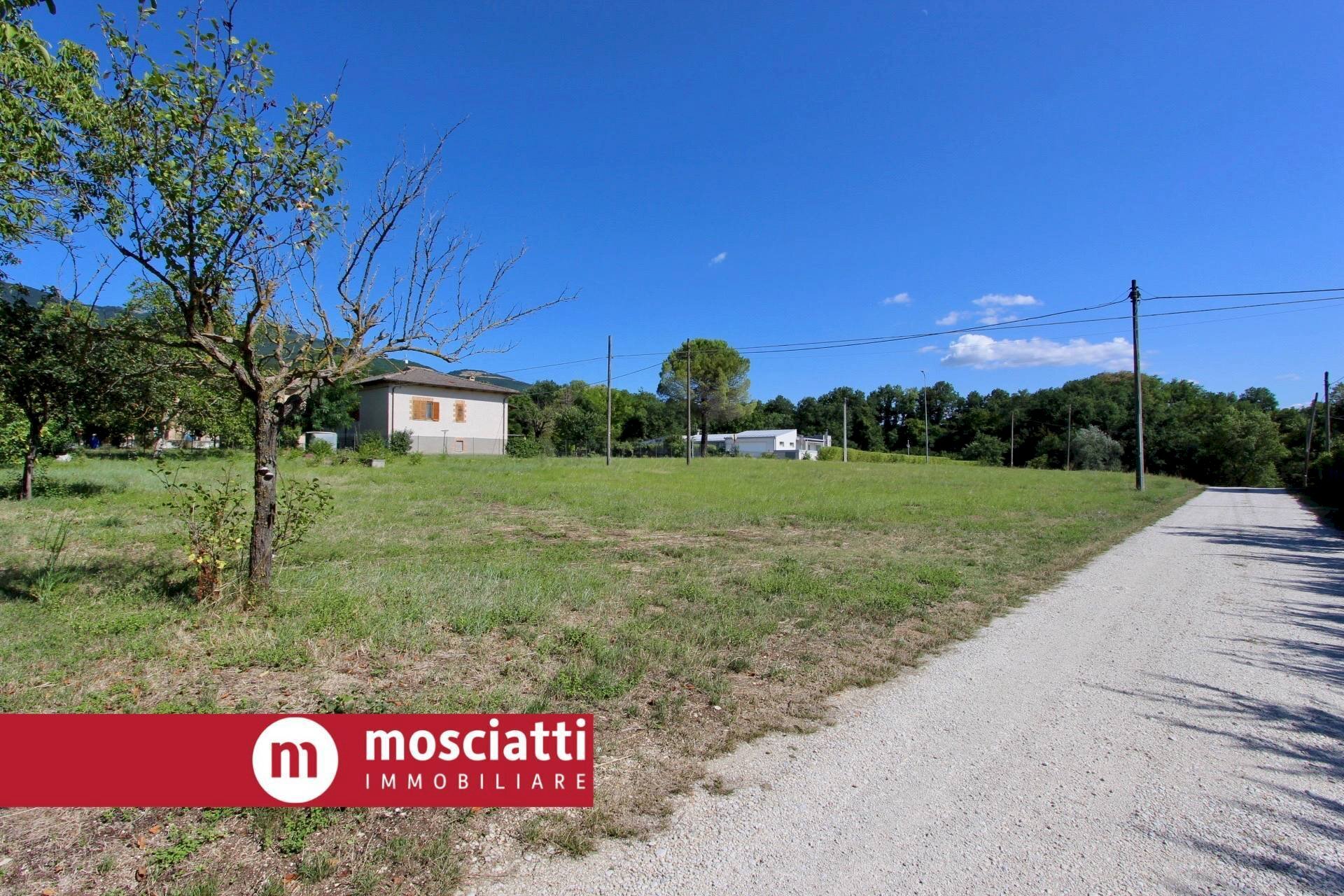 Foto 3 - Terreno edificabile Cerreto d'Esi - foto 3