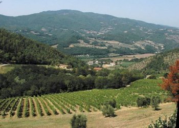 Foto 32 - Villa via Ampinana
 
10, Vicchio - foto 32