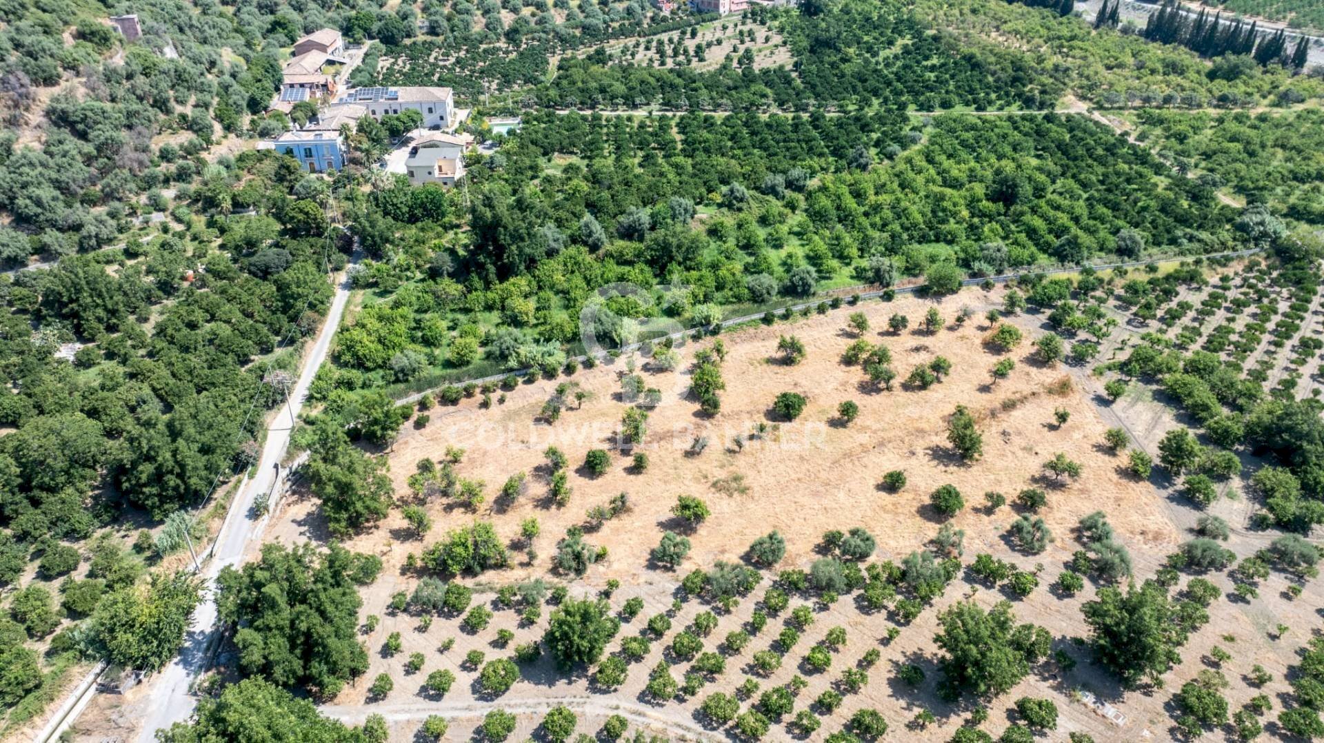 Foto 2 - Terreno agricolo Via Francavilla
snc, Taormina - foto 2