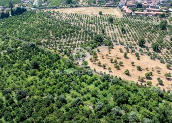 Foto 4 - Terreno agricolo Via Francavilla
snc, Taormina - foto 4