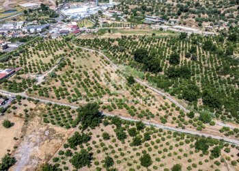 Foto 8 - Terreno agricolo Via Francavilla
snc, Taormina - foto 8