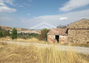 Foto 8 - Terreno agricolo Castelbottaccio - foto 8