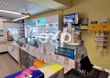 Negozio Asti - foto 11