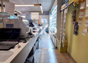 Negozio Asti - foto 12