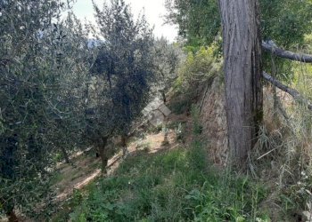 Rustico Via Malfolle, Marzabotto - foto 8