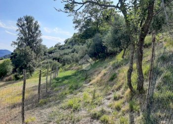 Rustico Via Malfolle, Marzabotto - foto 9