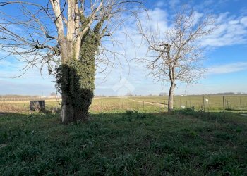 Villa a Schiera Via lollia, San Felice sul Panaro - foto 22