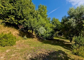 Porzione di casa Strada Rivamare, Moncalieri - foto 25