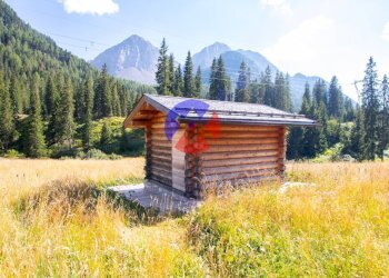 Foto 7 - Rustico Moena - foto 7